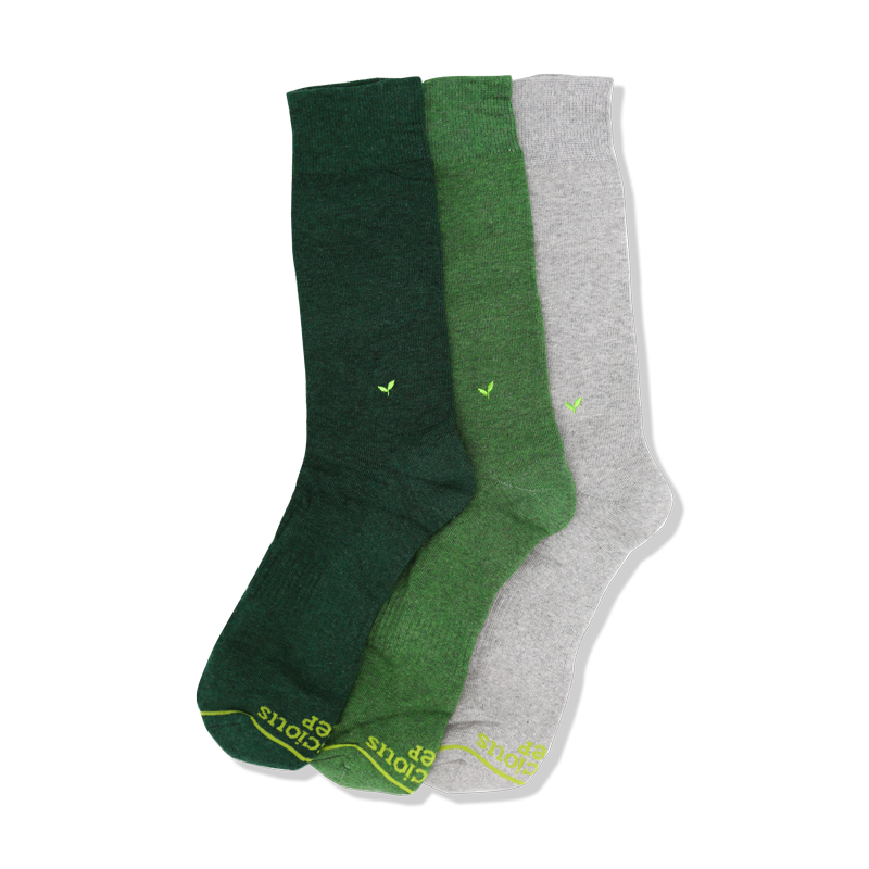 Socks That Plant Trees Gift Box (3 Pairs)